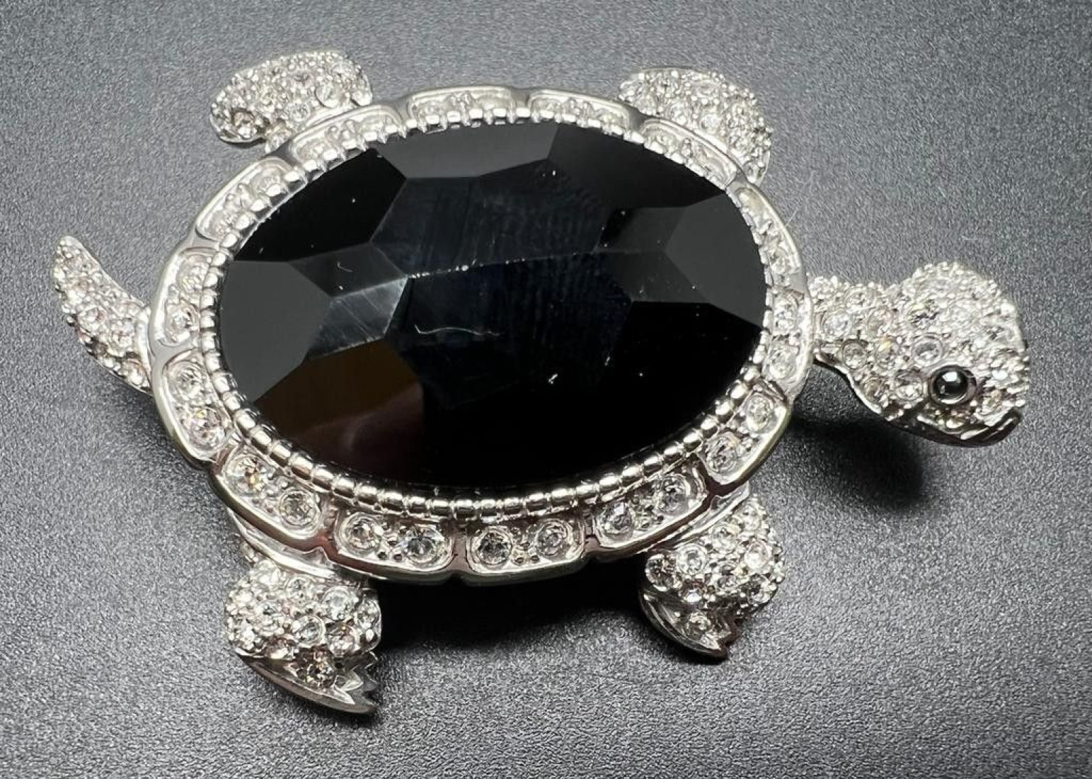 Broche tortuga plata