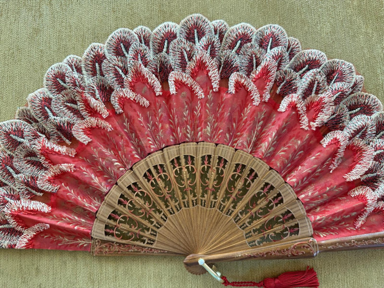 Abanico plumas
