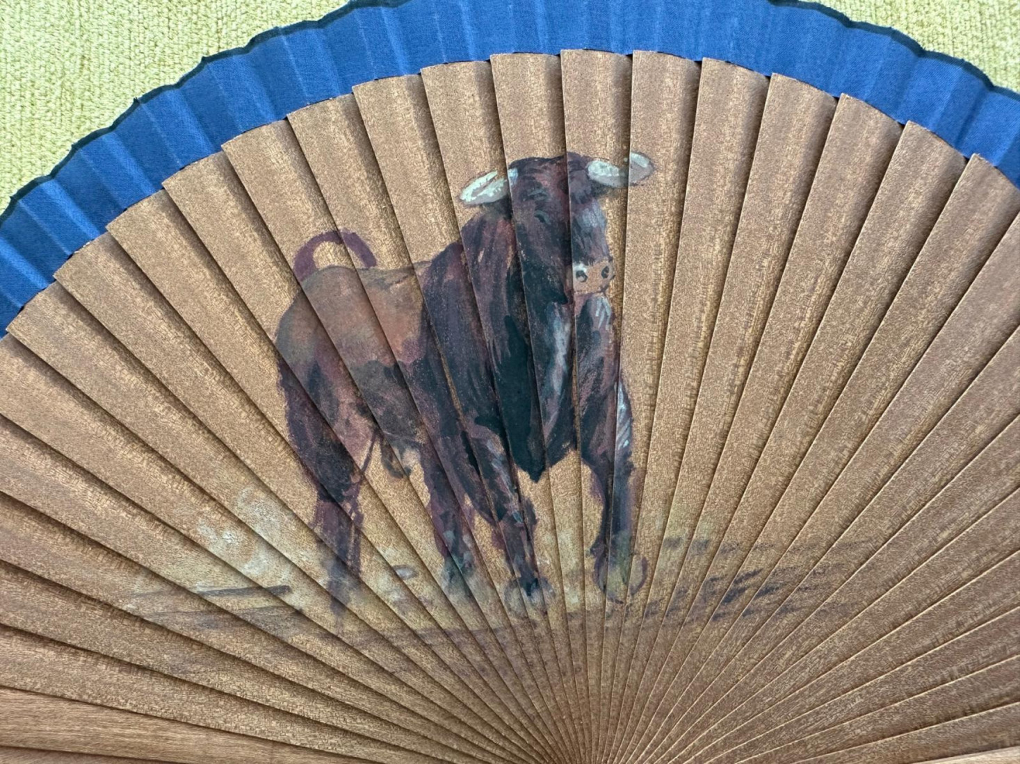Abanico toro