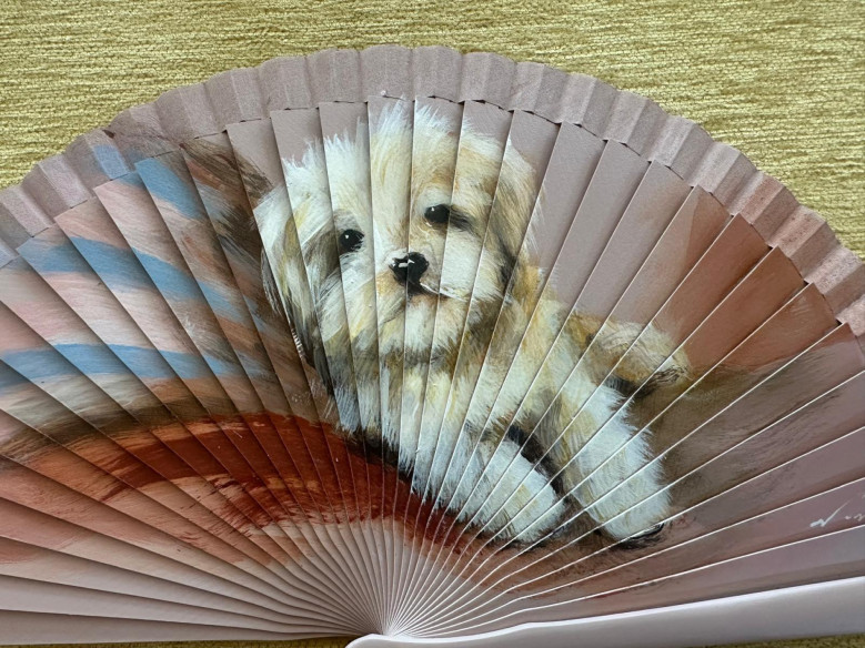 Abanico perrito acostado